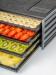 Excalibur 4 Tray Dehydrator with Produce