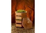 GEO Terracotta Sprouter Starter Kit