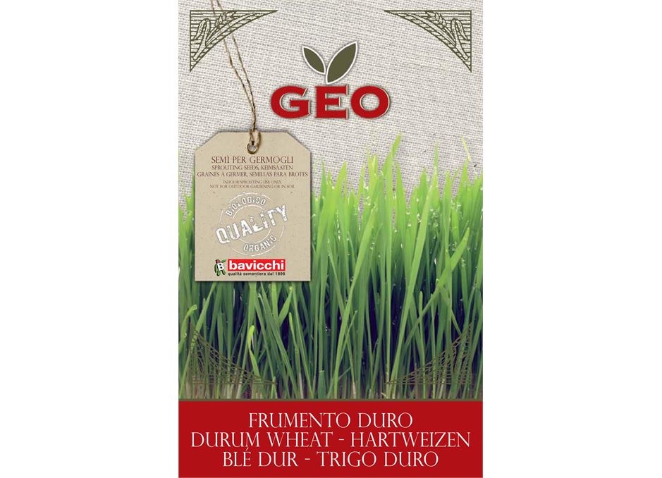 GEO Organic Wheatgrass Seeds (5Kg sack)