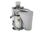 Friul Iota Commercial Juicer