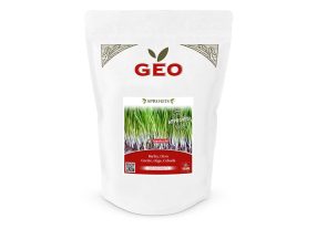GEO Organic Barleygrass Seeds (600g Pack)