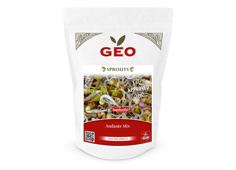 GEO Organic Andante Fitness Mix (400g Pack)