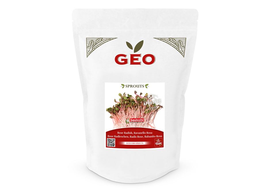 GEO Organic China Rose Seeds (500g Pack)