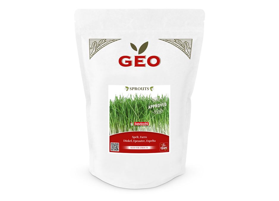 GEO Organic Speltgrass Seeds (400g Pack)