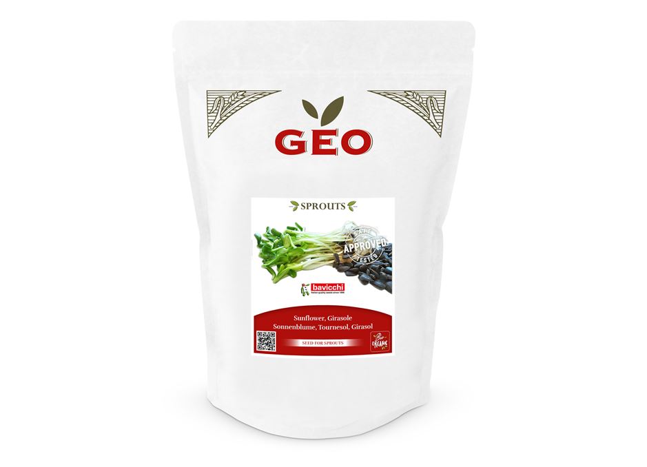 GEO Organic Sunflower Seeds (400g Pack)