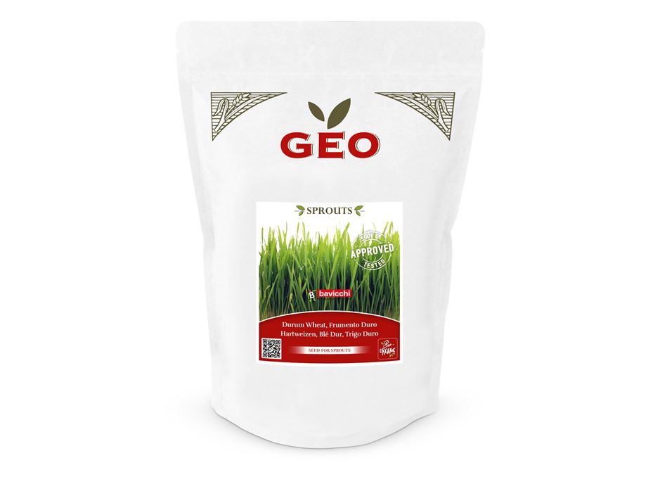 GEO Organic Wheatgrass Seeds (600g Pack)
