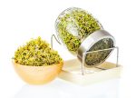 GEO Sprout Jar GEO Sprout Jar