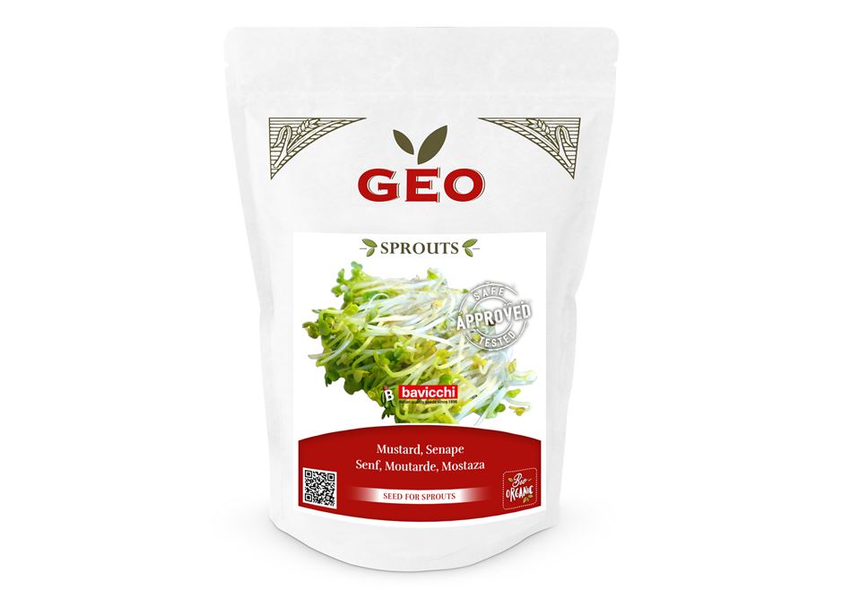 GEO Organic Mustard Seeds (300g Pack)