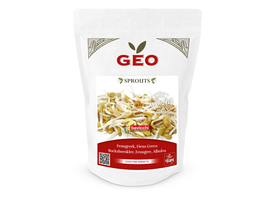 GEO Organic Fenugreek Seeds (300g Pack)