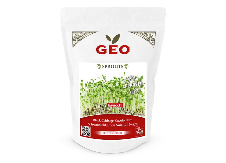 GEO Organic Nero Kale Seeds (300g Pack)