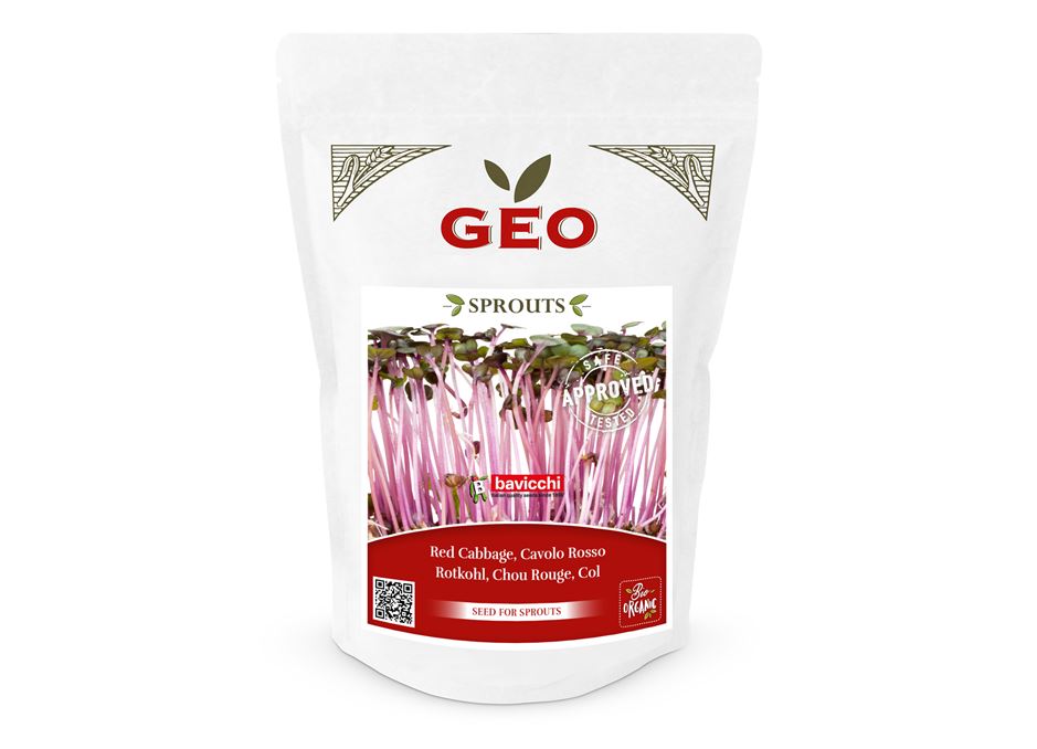 GEO Organic Red Cabbage Seeds (300g Pack)