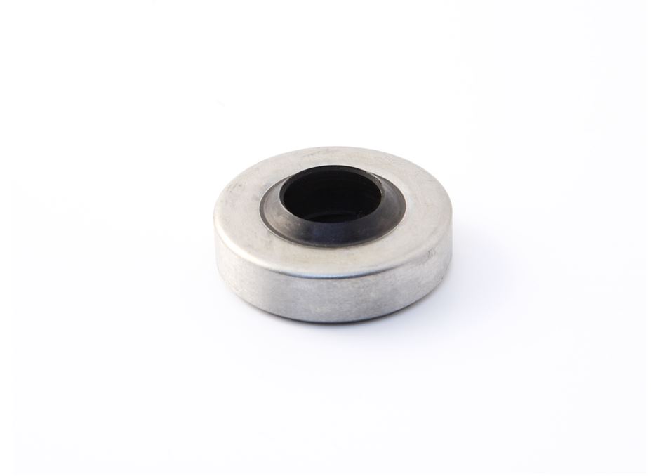 Champion Juicer Oil Seal