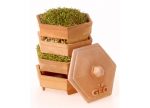 Broccoli Sprout Kit (Deluxe)