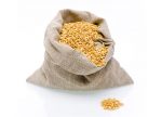 8_633616092113695576_Sproutmans_Hemp_Sprouting_Bag_w939_h678 Sproutman’s Hemp Sprouting Bag