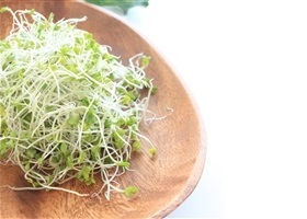 Broccoli Sprouts – A True Superfood