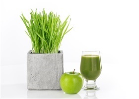 Wheatgrass Zinger