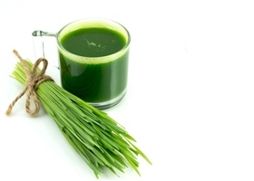 Benefits of Wheatgrass Juice