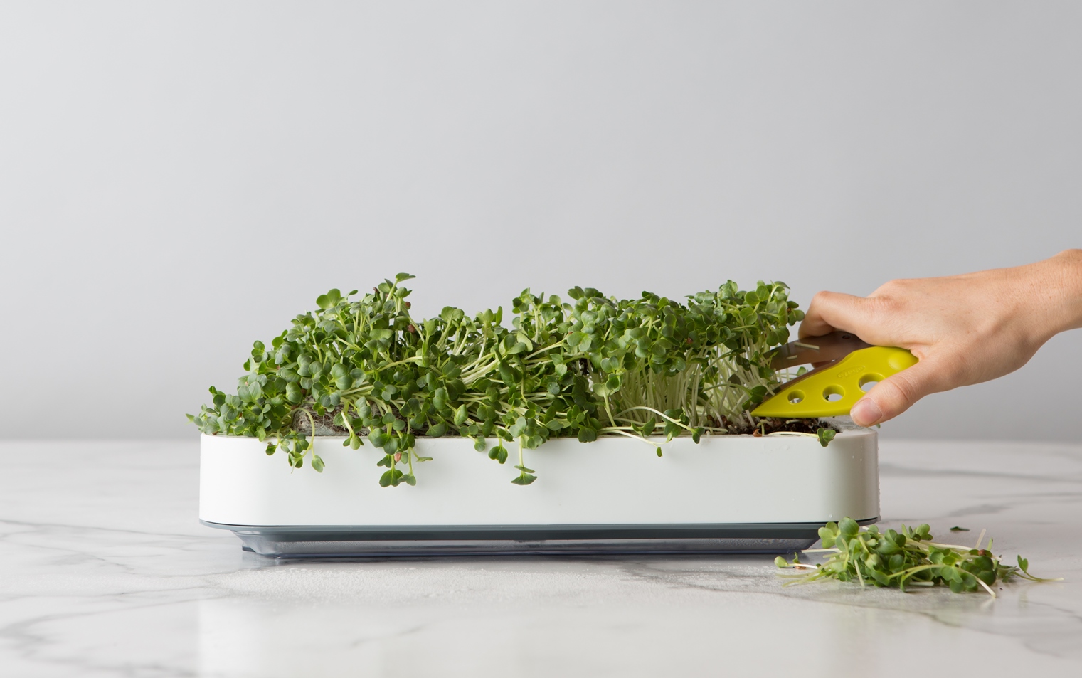 Chef'n Microgreens Grower Harvest