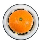 Lurch Citrus Press Top View