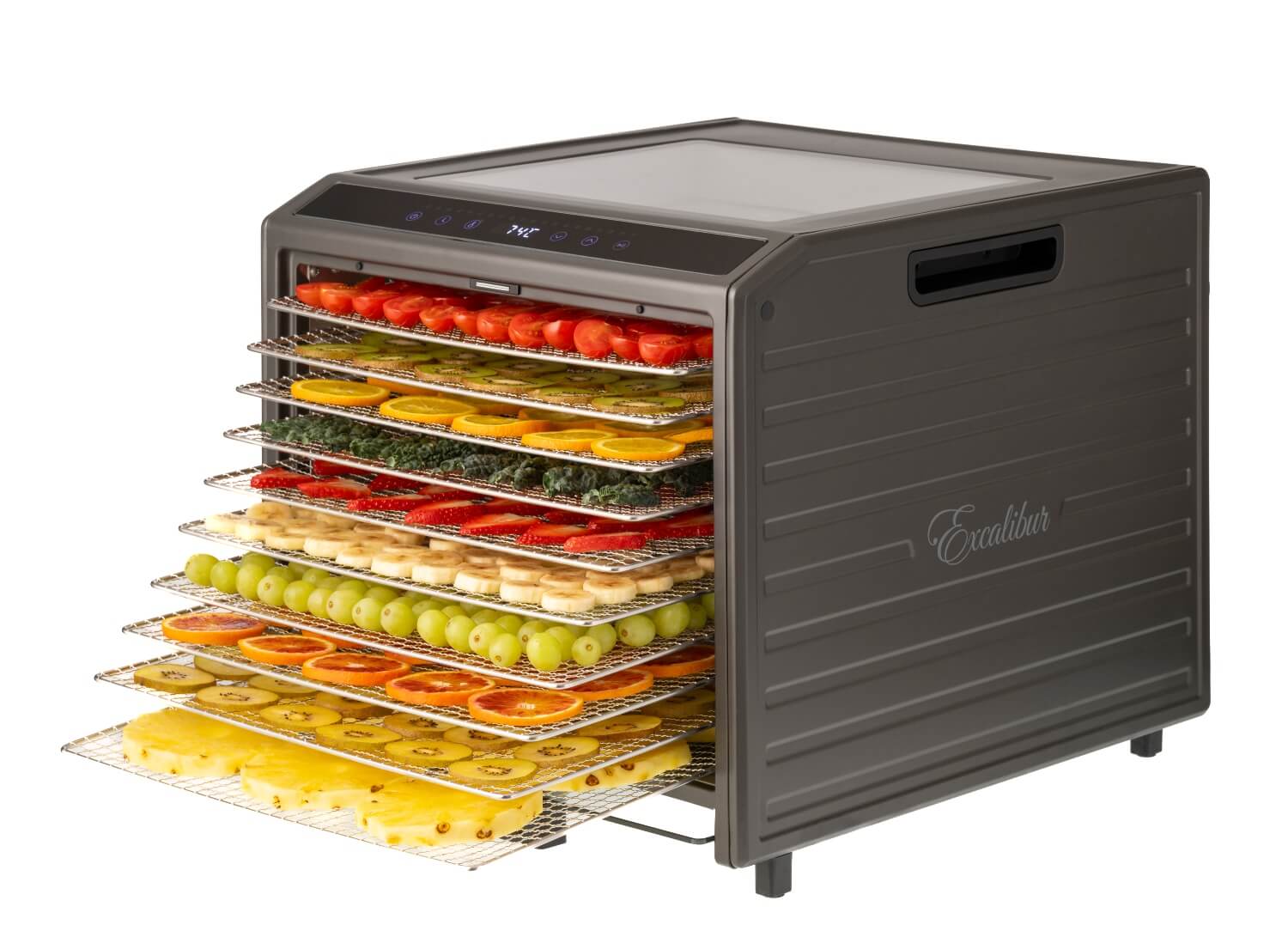 Excalibur 10 Tray Performance Digital Dehydrator DH10SSSS13