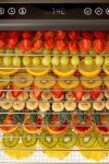 Excalibur 10 Tray Select Digital Dehydrator With Fruit