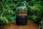 Briiv 2 with Plants