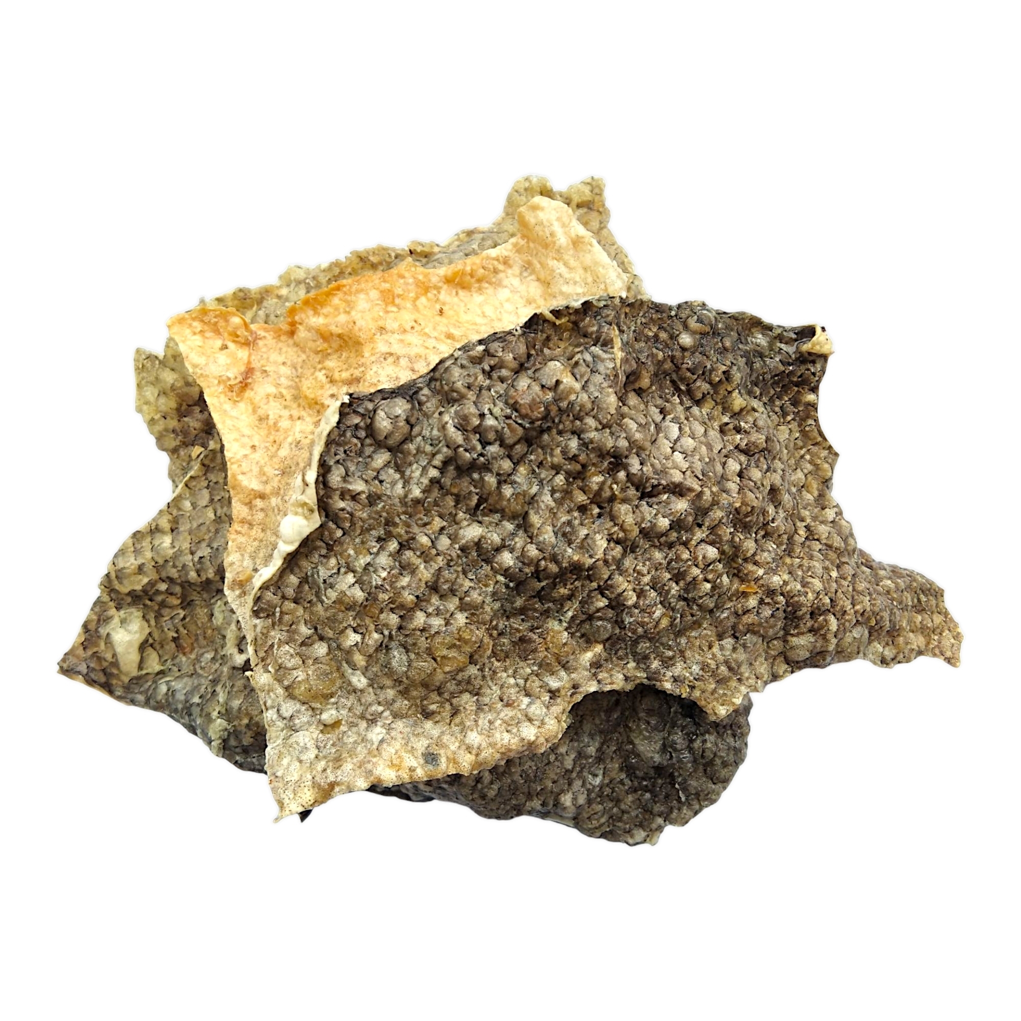 Dried Salmon Skin