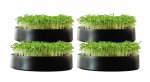MicroPod Microgreen Sprouter 4 Pack Bundle