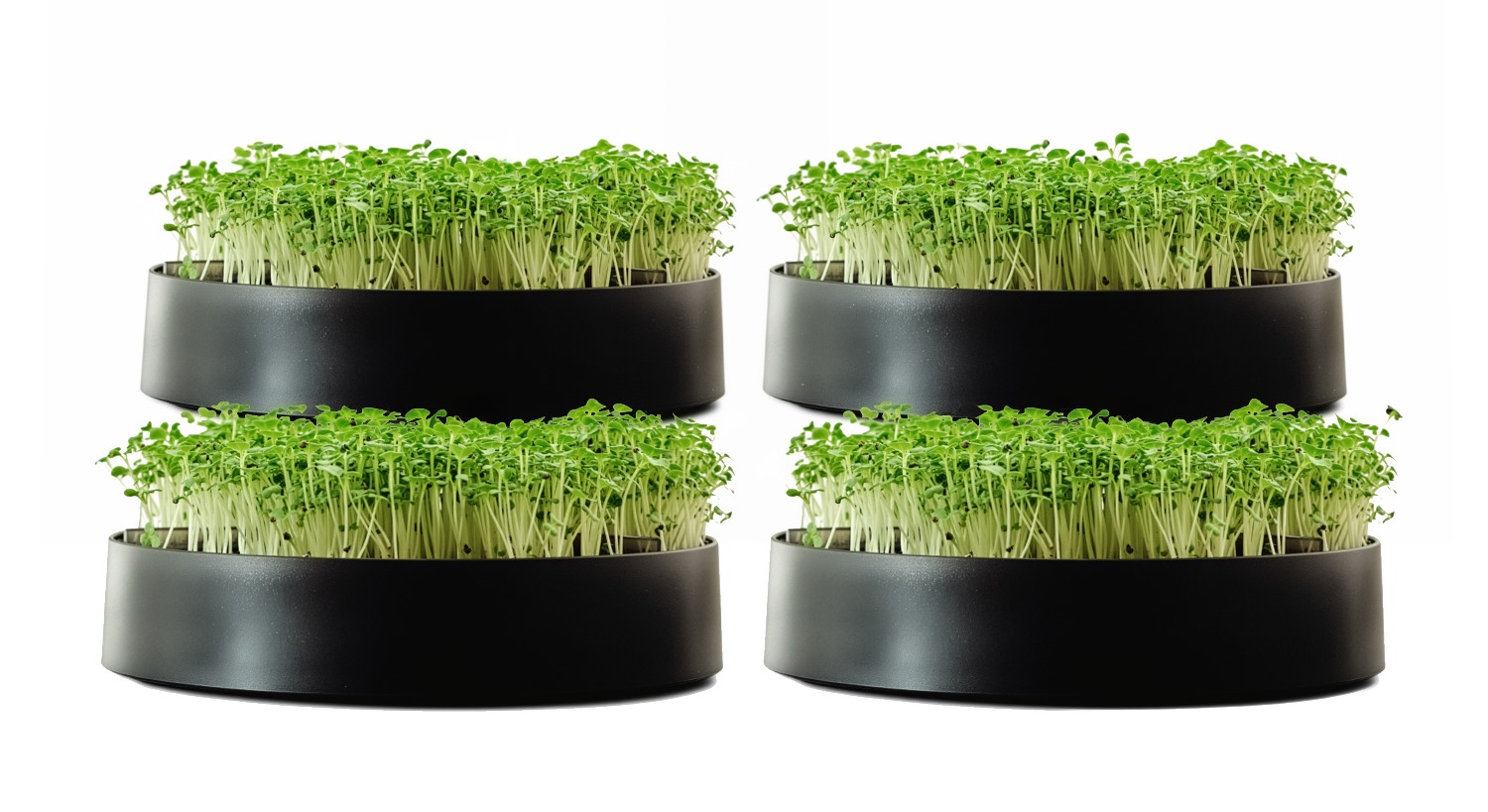 MicroPod Microgreen Sprouter 4 Pack Bundle