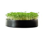 MicroPod Microgreens Sprouter