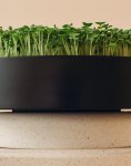 MicroPod Microgreens Sprouter Close Up