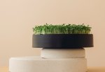 MicroPod Microgreens Sprouter in Kitchen