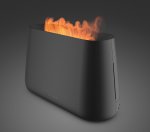 Stadler Form Ben Black with flame