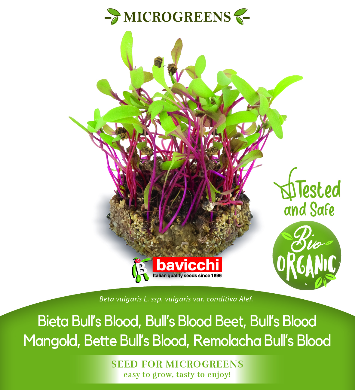 GEO Organic Beetroot Bulls Blood Seeds