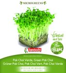 GEO Organic Green Pak Choi Seeds GEO Organic Green Pak Choi Seeds