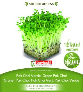 GEO Organic Green Pak Choi Seeds