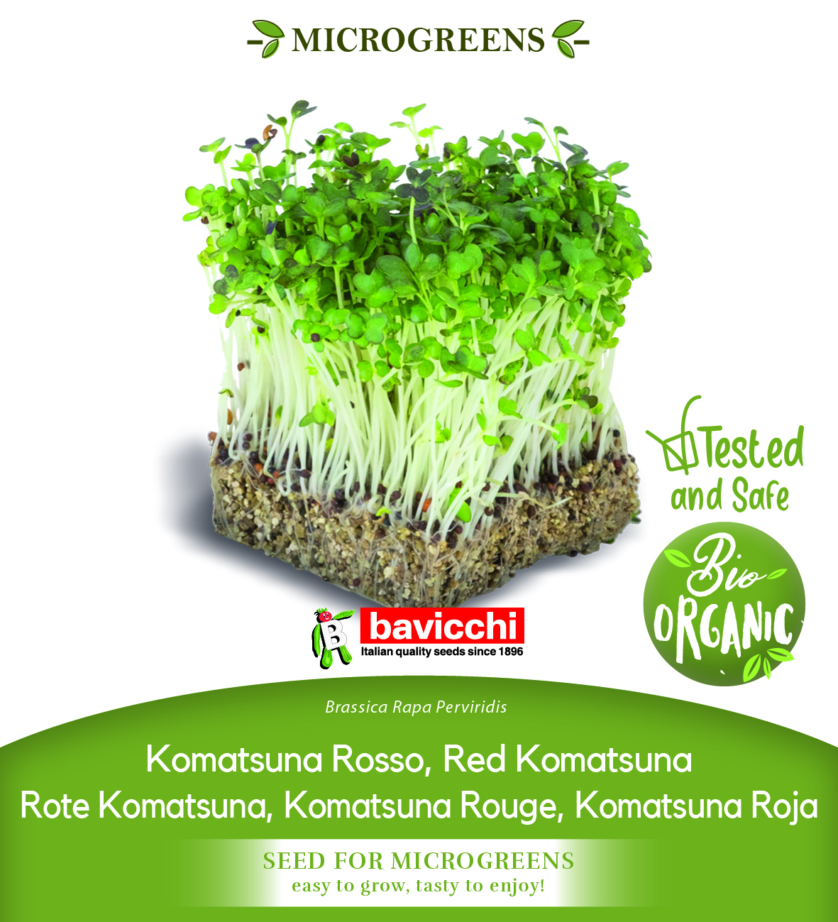 GEO Organic Red Komatsuna Seeds