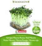 GEO Organic Red Mizuna Seeds