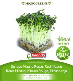 GEO Organic Red Mizuna Seeds