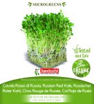 GEO Organic Red Russian Kale Seeds