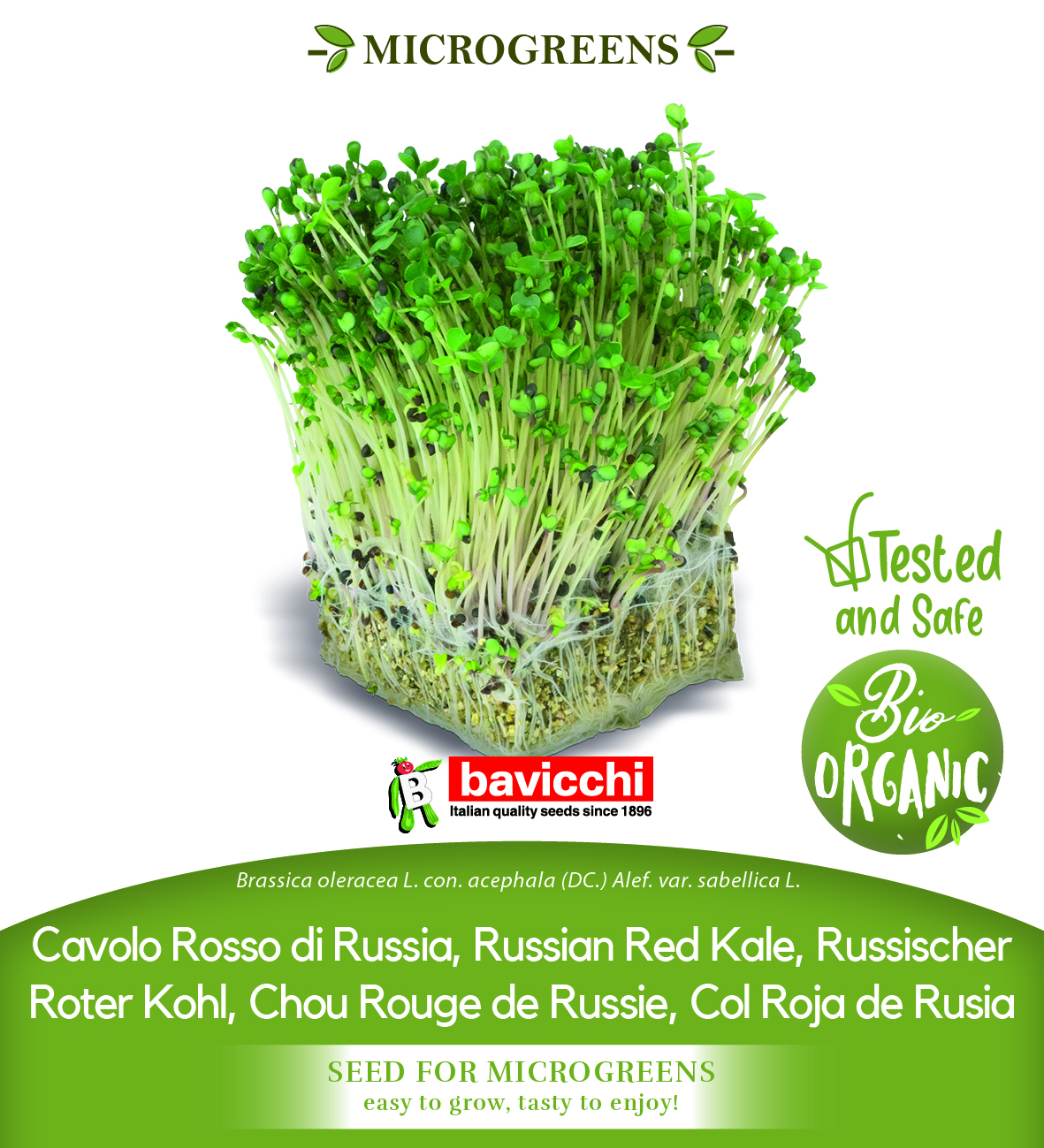 GEO Organic Red Russian Kale Seeds