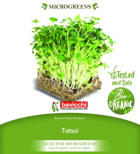 GEO Organic Tatsoi Seeds