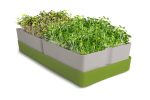 GEO Smart Greens Microgreens Growing Kit