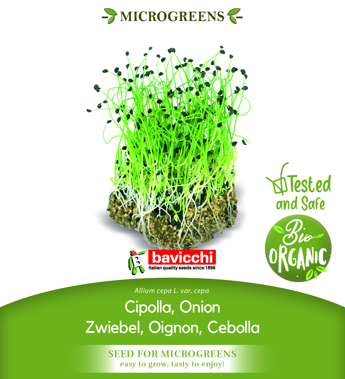 GEO Organic Onion Seeds