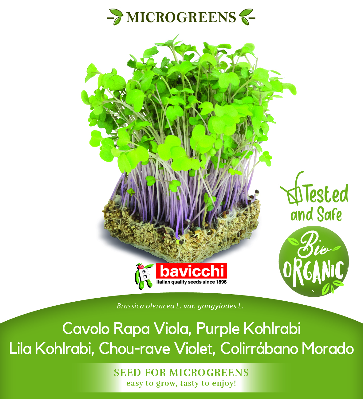 GEO Organic Purple Kohlrabi Seeds