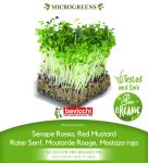 GEO Organic Red Mustard Seeds