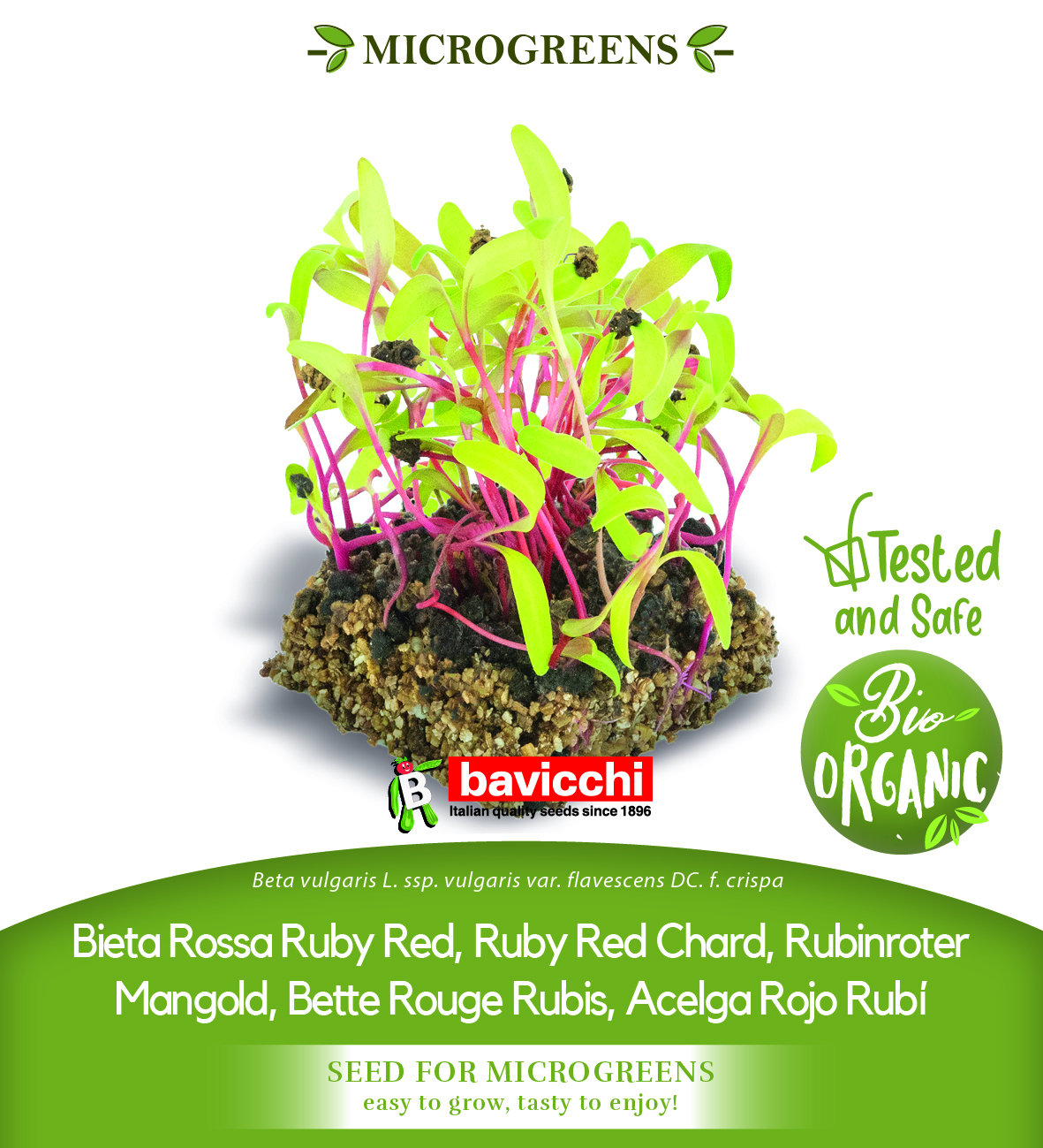 GEO Organic Ruby Red Chard Seeds