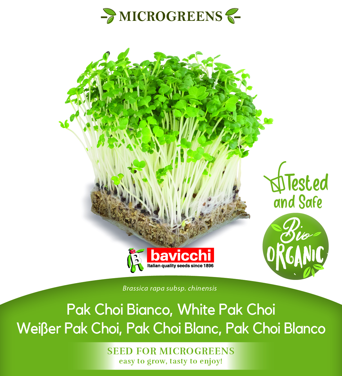 GEO Organic White Pack Choi Seeds