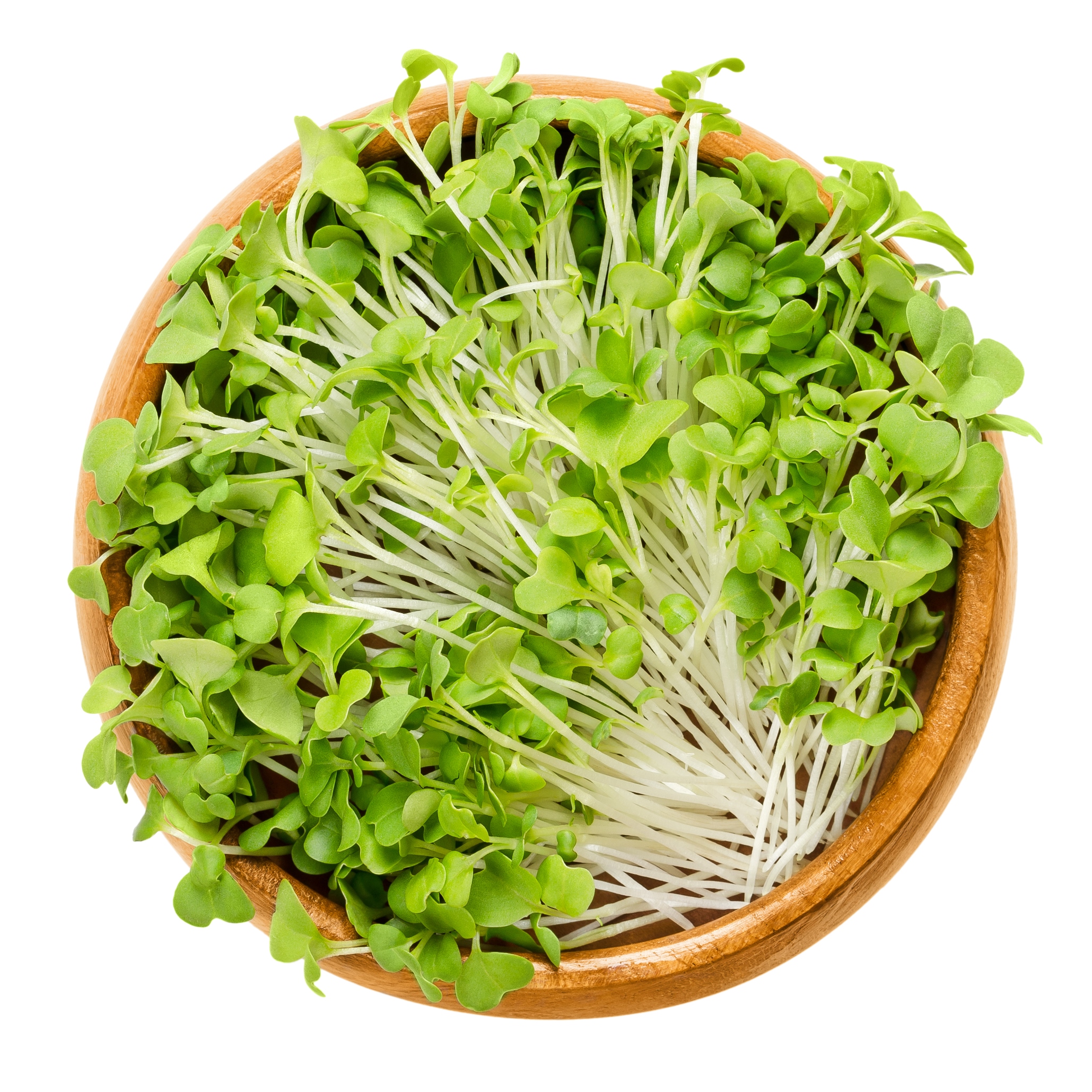 Mizuna microgreens in an earthenware bowl