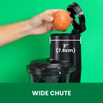 Omega Vertical Wide Mouth Cold Press Juicer Feed Chute